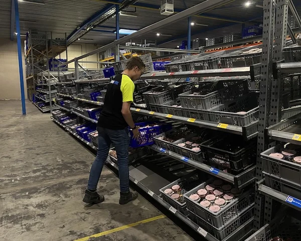 SROI verplichting